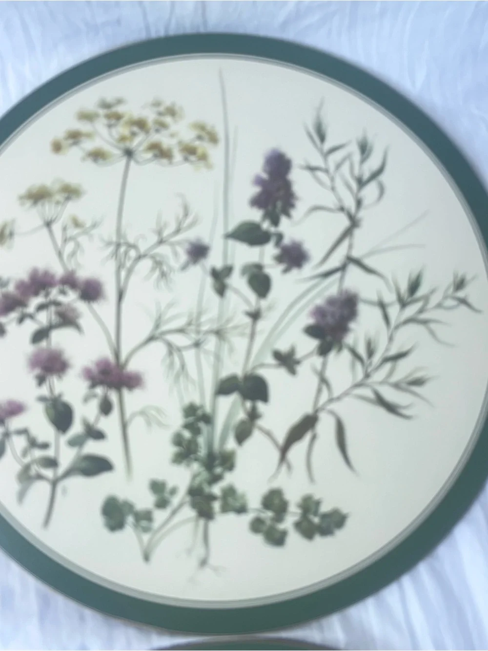 Vintage Cottagecore English Life Botanical Wildflower Placemats Set of 6